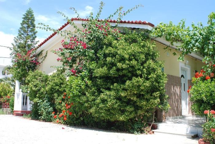 Manao Summer House Tsilivi  Ngoại thất bức ảnh